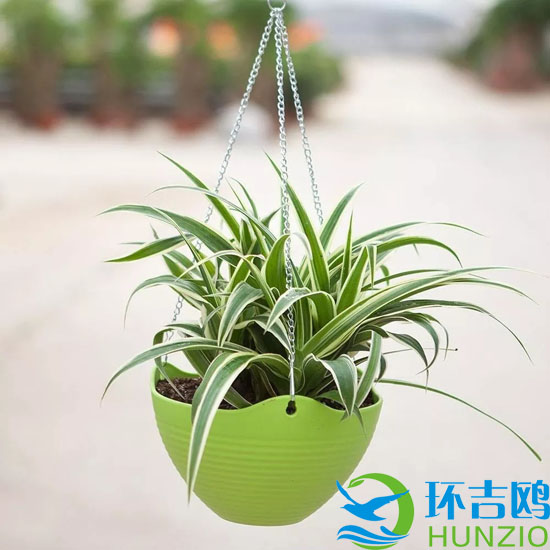 大自然的十大油烟净化器2.webp.jpg