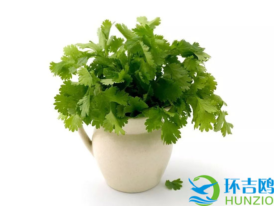 大自然的十大油烟净化器11.webp.jpg