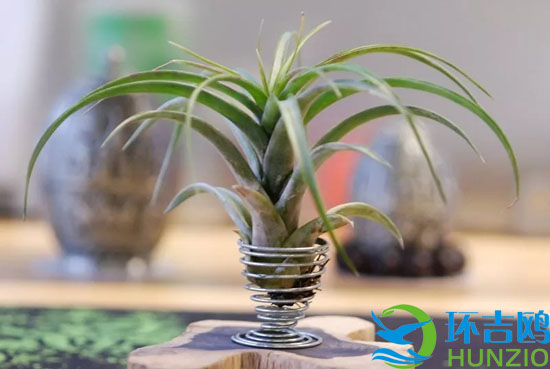 大自然的十大油烟净化器7.webp.jpg