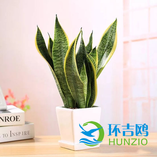 大自然的十大油烟净化器9.webp.jpg