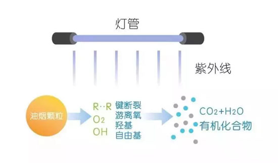 紫外光解原理图1.webp.jpg